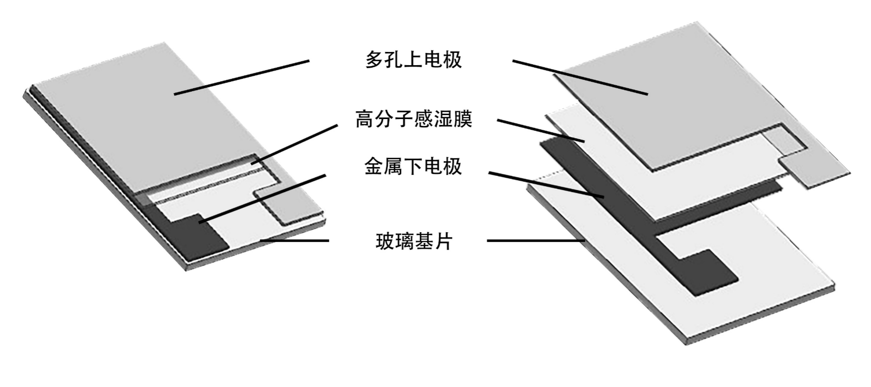 电容器的内部结构图片